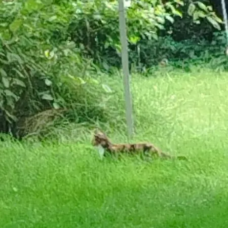 100qm - Raeumlichkeiten, Am Bodensee