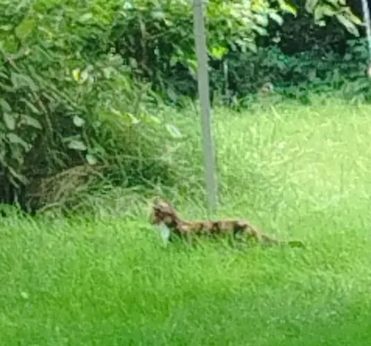 100qm - Raeumlichkeiten, Am Bodensee