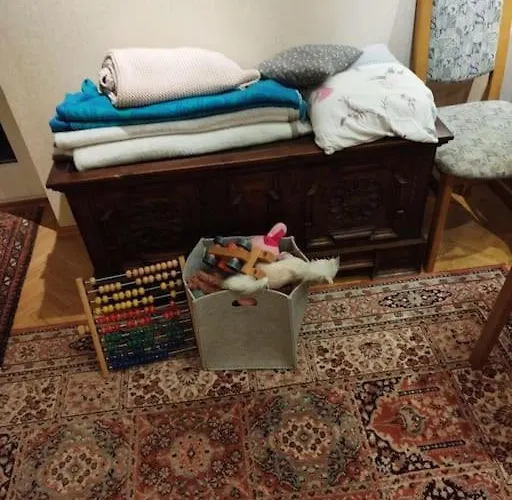 100qm - Raeumlichkeiten, Am Bodensee Bregenz